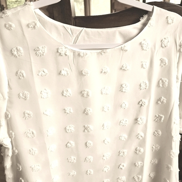 Beautiful Ivory Layered Sheer Textured Polka-dot Short Sleeve Blouse - Picture 2 of 10